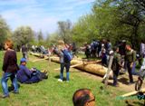 Clicca qui per vedere l'immagine in dettaglio